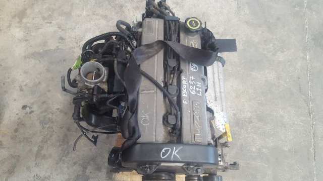 Silnik w komplecie L1H FORD