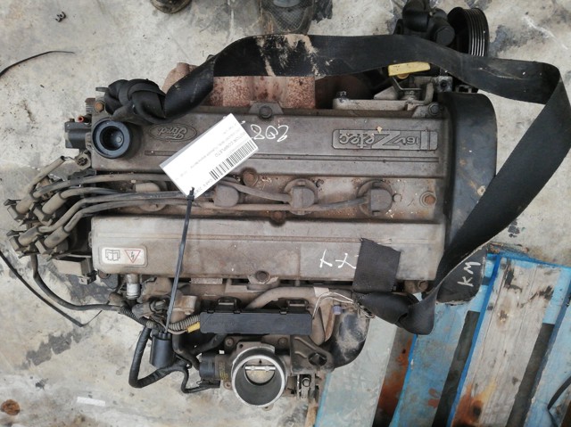 Silnik w komplecie L1H FORD