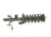 Amortyzator tylny lewy LR031666 LAND ROVER