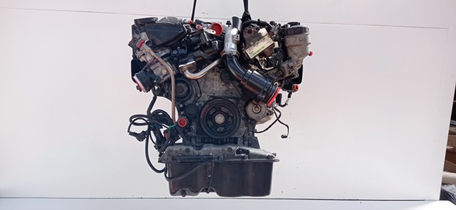 Kupić  R  W251