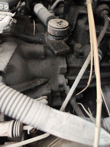 P51767 Hyundai/Kia