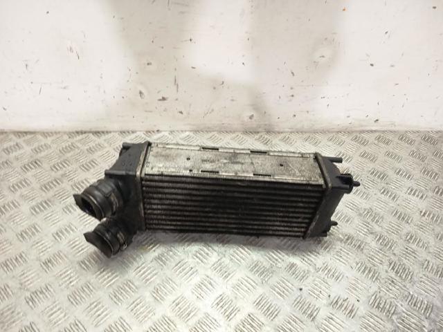 PA66GF35 Peugeot/Citroen
