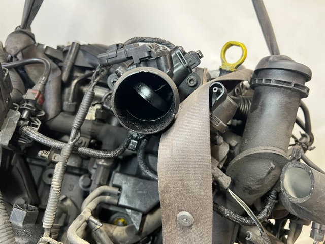 Silnik w komplecie QXBA FORD