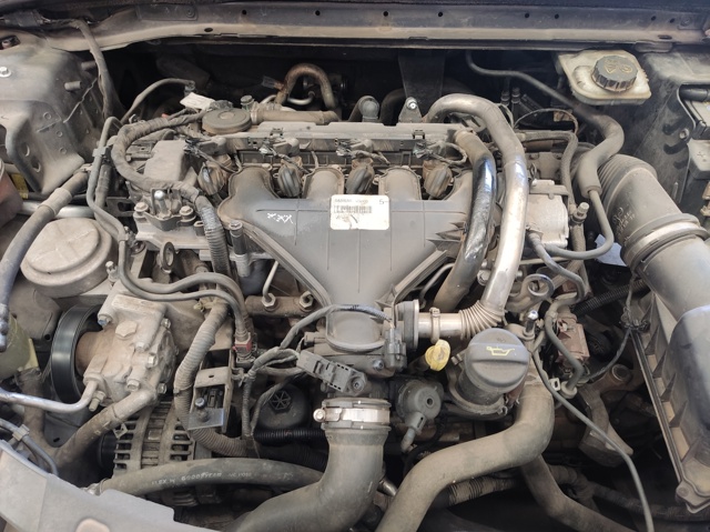 Silnik w komplecie QXBA FORD