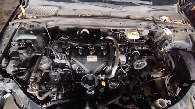 Silnik w komplecie QXBA FORD