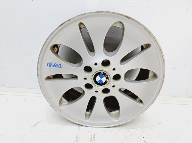 Filtr oleju R17 BMW