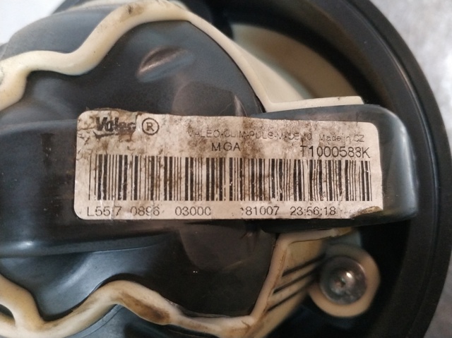T1000588K Peugeot/Citroen