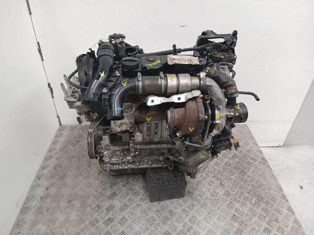 Kupić  Focus III CB8