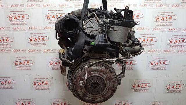  Ford Focus III hatchback kupić w Polsce
