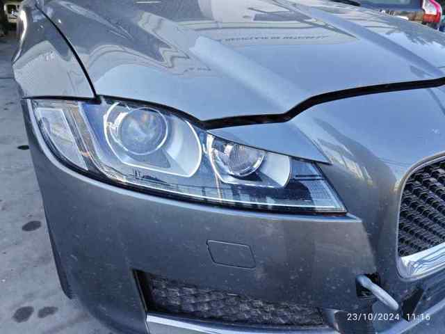 T2H24582 Jaguar
