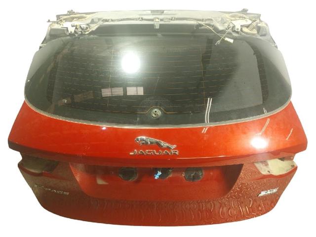 T4A13309LML Jaguar