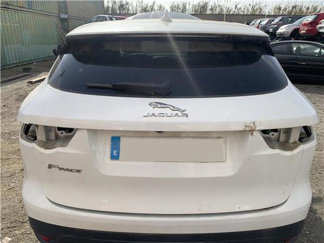 T4A13309LML Jaguar