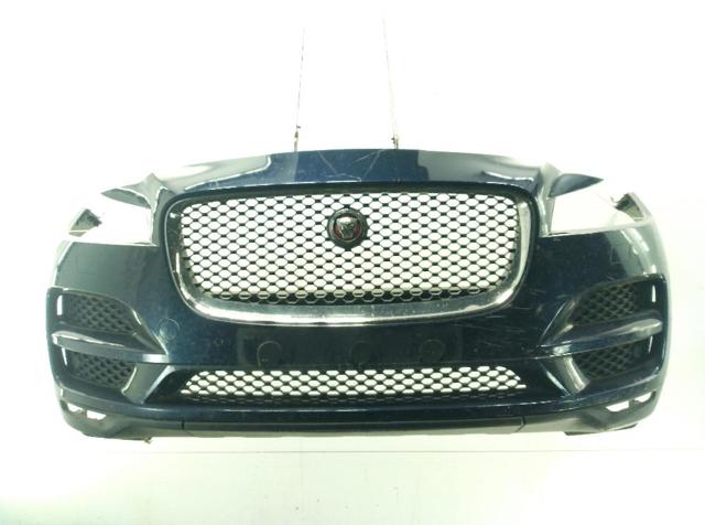 T4A5644LML Jaguar