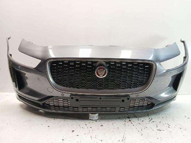 T4K5982LML Jaguar