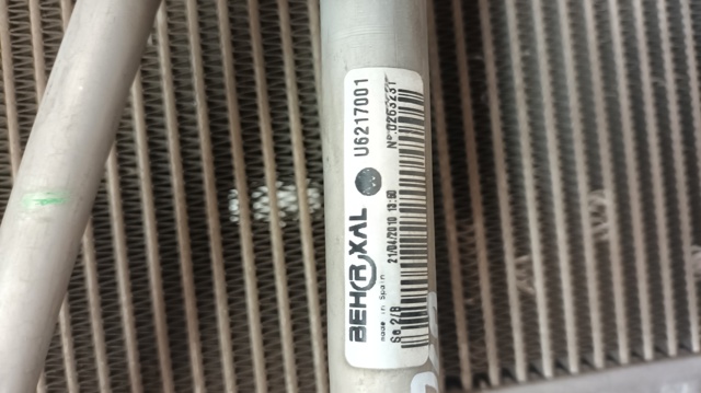 U6217001 VAG