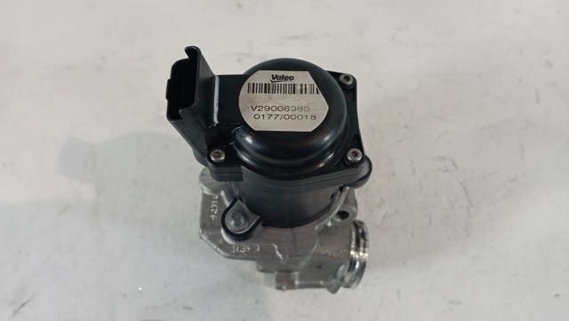 V29006980 Peugeot/Citroen