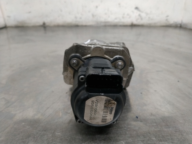 V29006980 Peugeot/Citroen