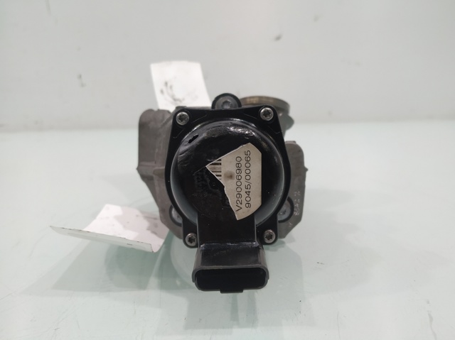 V29006980 Peugeot/Citroen