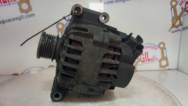 V7576513 Peugeot/Citroen