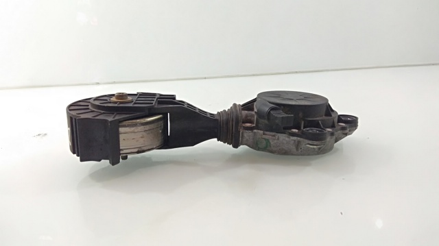 V759883280 Peugeot/Citroen