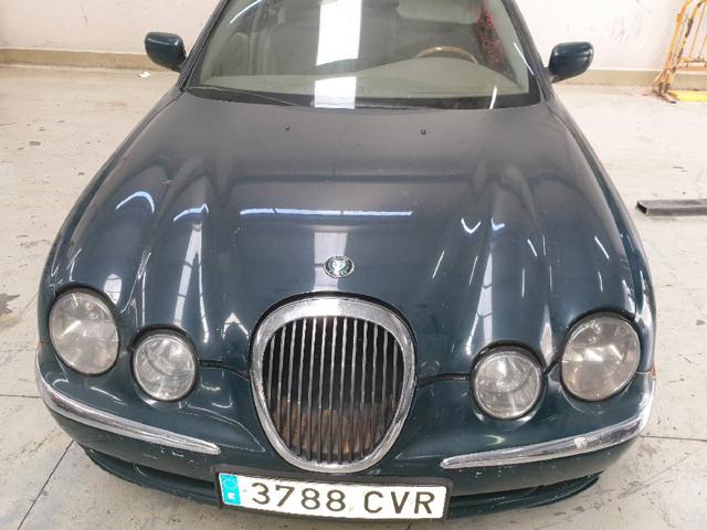 XR826795 Jaguar