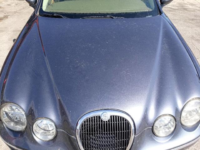 XR826795 Jaguar