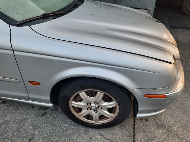 XR826896 Jaguar