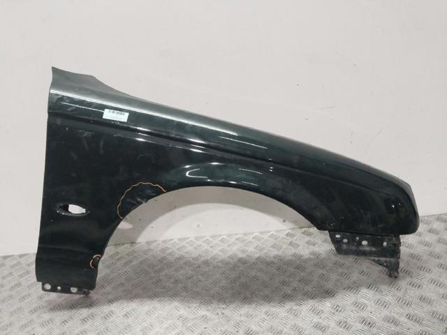 XR826896 Jaguar