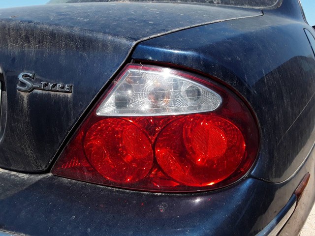 XR845504 Jaguar