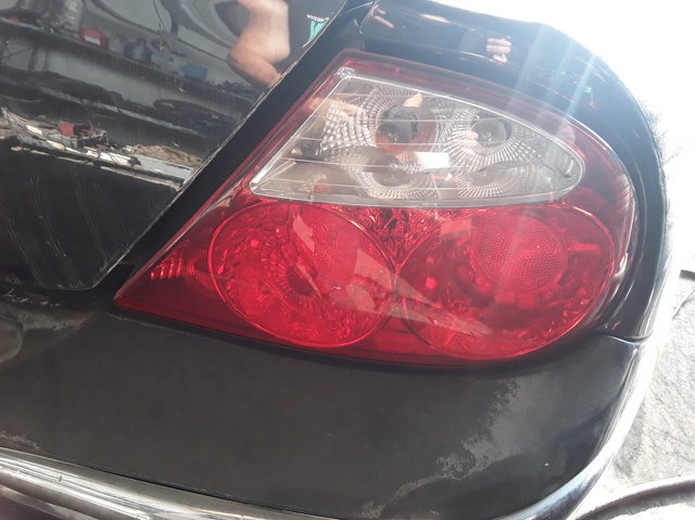 XR845504 Jaguar