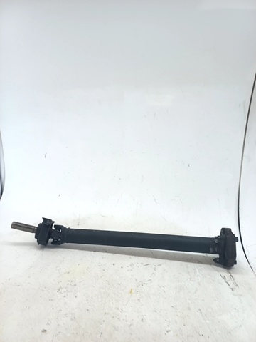 XR850358 Jaguar