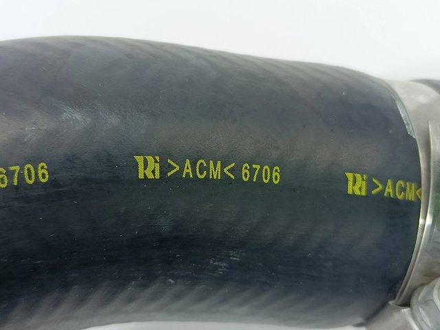 Y6031333XB Mazda