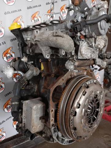 Silnik w komplecie Renault Koleos SUV (HY0) (2008 - 2026) cena, od 3995,18 USD