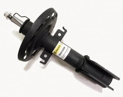 Amortyzator przedni RS315294 Raiso