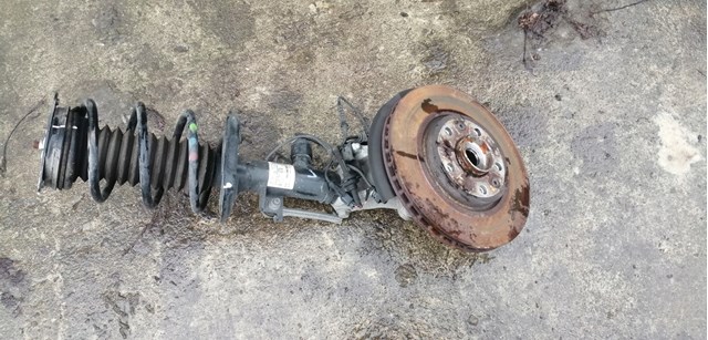 Amortyzator przedni 543024393R Renault (RVI)