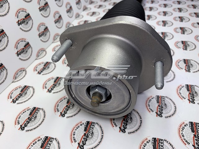 Amortyzator tylny Land Rover LR045269 cena, od 435,86 USD