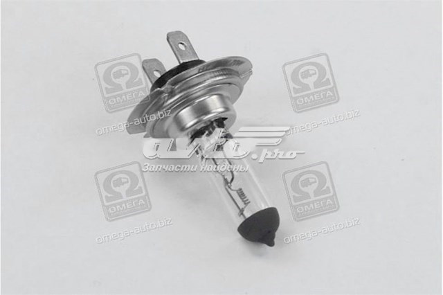 H7 24V70W Tempest żarówka halogenowa