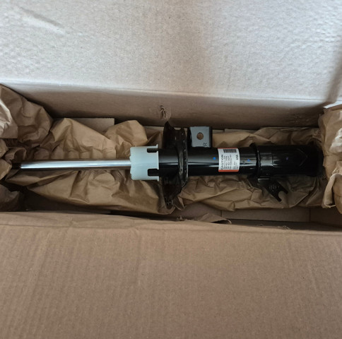 AST84751 Ford Amortyzator przedni lewy