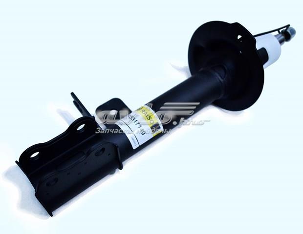 Do koszyka RS317140 Raiso Amortyzator tylny prawy