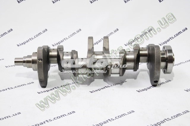 Do koszyka Wał korbowy silnika KIA Sportage I K00