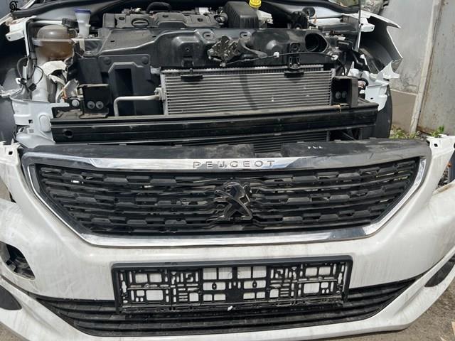 9816027680 Peugeot/Citroen Nakładka (ramka) atrapy chłodnicy