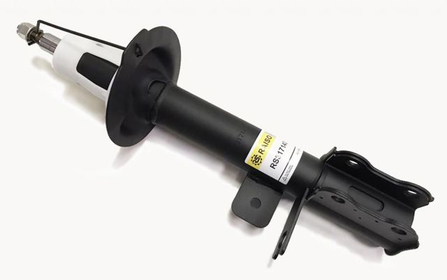 Amortyzator tylny prawy Raiso RS317140