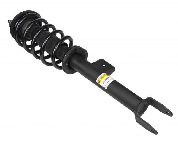 RS436901 Raiso Amortyzator przedni prawy