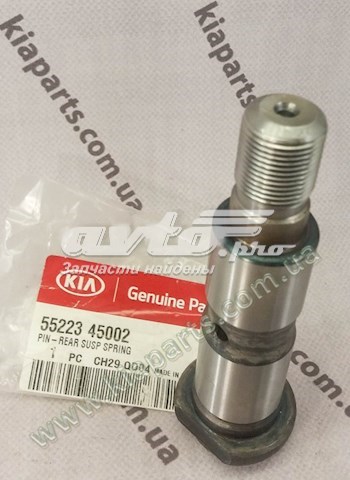 Do koszyka 5522345002 Hyundai/Kia Sworzeń tylny resoru tylnego