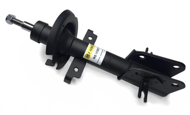 RS313577 Raiso Amortyzator przedni