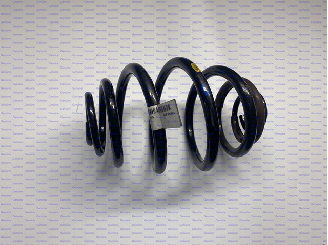 Sprężyna tylna General Motors 96392401 cena, od 36,08 USD