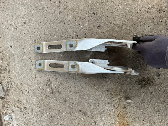 Do koszyka 9816484780 Peugeot/Citroen Zawias maski prawy