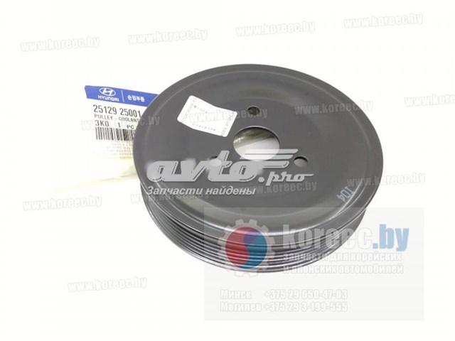 Do koszyka Koło pasowe pompy wodnej Hyundai Sonata V NF