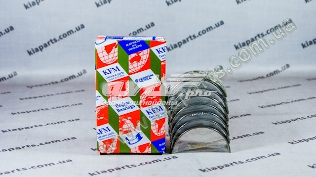 Panewki korbowodowe wału korbowego, zestaw, 2. naprawa (+0,50) Hyundai H200 awangarda (2000 - 2026) cena, od 42,50 USD