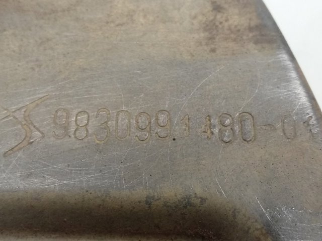 Do koszyka 9806779480 Peugeot/Citroen Osłona tarczy hamulcowej przedniej prawej